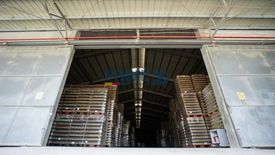 Warehouse / Factory for rent in Lebueg, Pangasinan