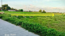 Land for sale in Salagusog, Nueva Ecija