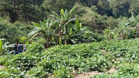 Land for sale in Bakakeng North, Benguet