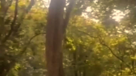 Land for sale in Mambugan, Rizal