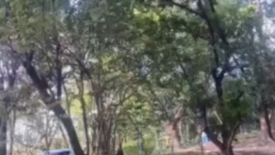 Land for sale in Mambugan, Rizal