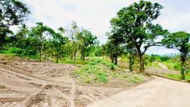 Land for sale in Amuyong, Laguna
