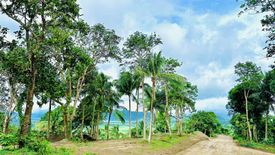 Land for sale in Amuyong, Laguna