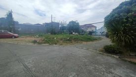 Land for sale in Santo Domingo, Rizal