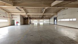 Shophouse for rent in Don Jose, Laguna