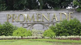 Land for sale in Don Jose, Laguna