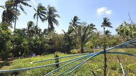 Land for sale in Tulay Silangan, Cavite