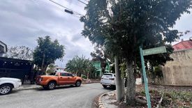 Land for sale in Punta, Laguna