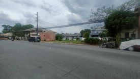 Land for sale in Santo Domingo, Rizal