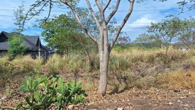 Land for sale in Palangoy, Rizal