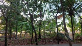 Land for sale in Amparo, Antique