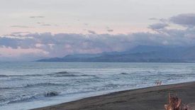 Land for sale in Amparo, Antique