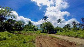 Land for sale in Panungyan I, Cavite