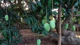 Land for sale in Buenlag, Pangasinan