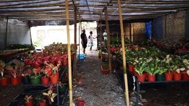 Land for rent in Almanza Dos, Metro Manila