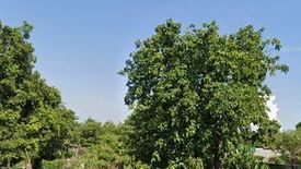 Land for rent in San Juan Nepomuceno, Pampanga