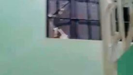 8 Bedroom Apartment for sale in Almanza Uno, Metro Manila