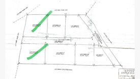 Land for sale in Dao, Bohol