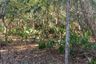 Land for sale in Barangay III, Cavite