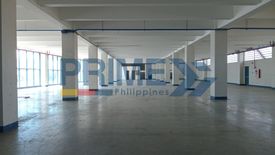 Warehouse / Factory for rent in 