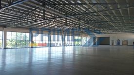 Warehouse / Factory for rent in 