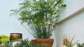 2 Bedroom Townhouse for rent in Vasra, Metro Manila