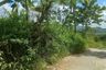 Land for sale in Lamanan, Davao del Sur