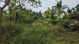 Land for sale in Calatrava, Bohol