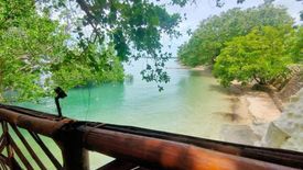 Land for sale in Mabini, Negros Occidental