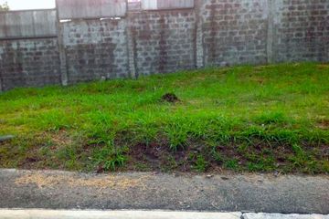 4 Bedroom House for sale in New Alabang Village, Metro Manila, Muntinlupa, Metro Manila - Photo 2