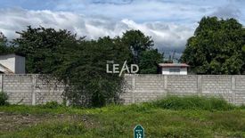 Land for sale in Almanza Dos, Metro Manila