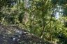 Land for sale in Bayabas, Davao del Sur