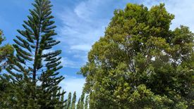 Land for sale in Poblacion, Metro Manila