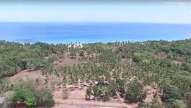 Land for sale in Simpocan, Palawan
