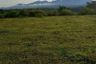Land for sale in Cosina, Bukidnon