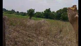 Land for sale in Poroc, Tarlac