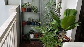 2 Bedroom Condo for rent in Lumiere Residences, Bagong Ilog, Metro Manila