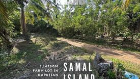 Land for sale in San Isidro, Davao del Norte