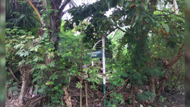 Land for sale in Tunasan, Metro Manila