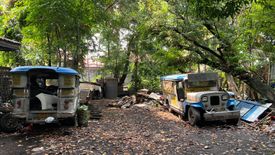 Land for sale in Santa Mesa, Metro Manila near LRT-2 V. Mapa