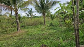 Land for sale in La Victoria, Bohol