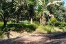 Land for sale in Lamanan, Davao del Sur