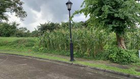 Land for sale in Ayala Greenfield Estates, Maunong, Laguna