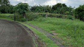 Land for sale in Ayala Greenfield Estates, Maunong, Laguna