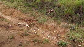 Land for sale in Camalanda-An, Negros Occidental