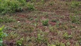 Land for sale in Camalanda-An, Negros Occidental