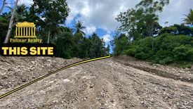 Land for sale in Santo Niño, Davao del Norte