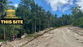Land for sale in Santo Niño, Davao del Norte