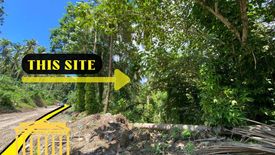 Land for sale in Santo Niño, Davao del Norte