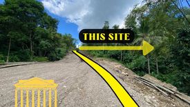 Land for sale in Santo Niño, Davao del Norte